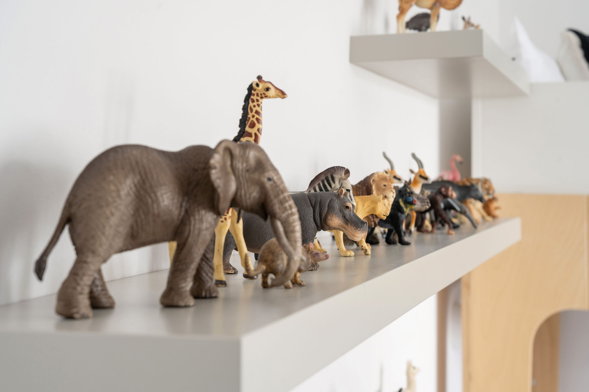 Funky Little Darlings boy's bedroom with Schleich animals on display on floating shelves painted in Little Greene Cool Arbour 232.