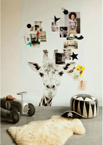 funky little darlings - babys first room image 17