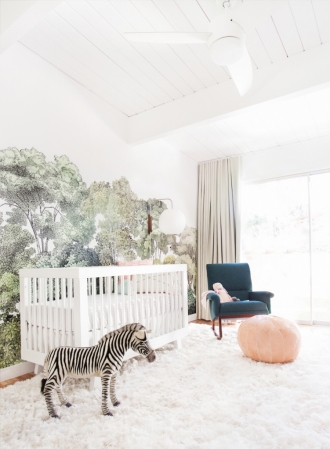 zebra in nursery