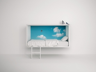 Designer wall mounted bed