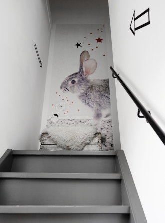 Rabbit wallpaper